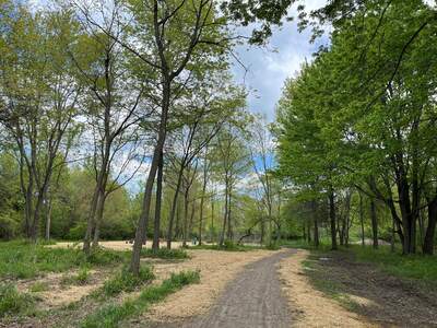 Catawba Island Trail Construction