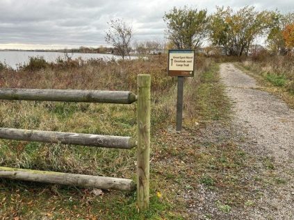 Great Egret Marsh Preserve